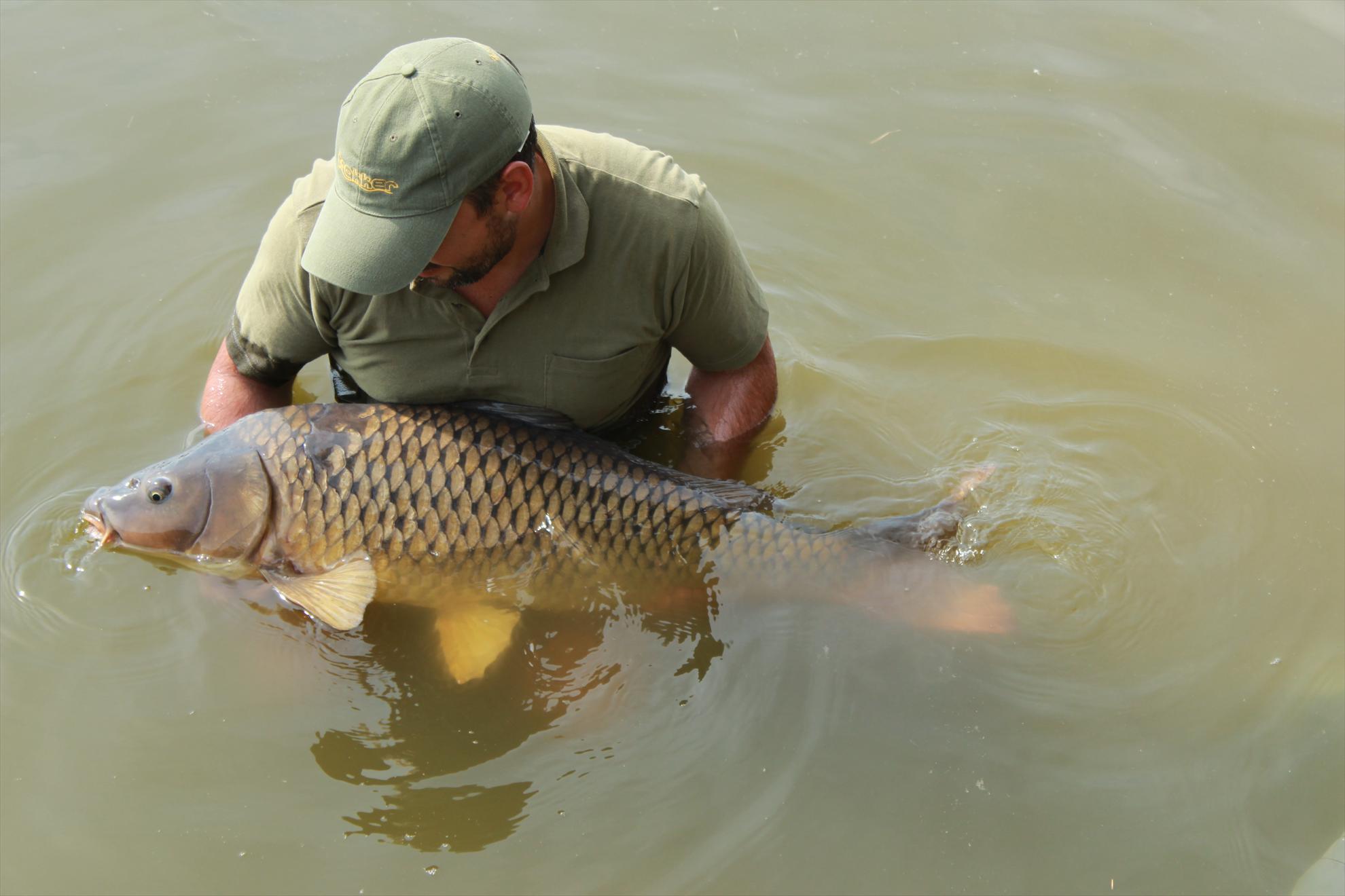 Capturi - img3887.JPG